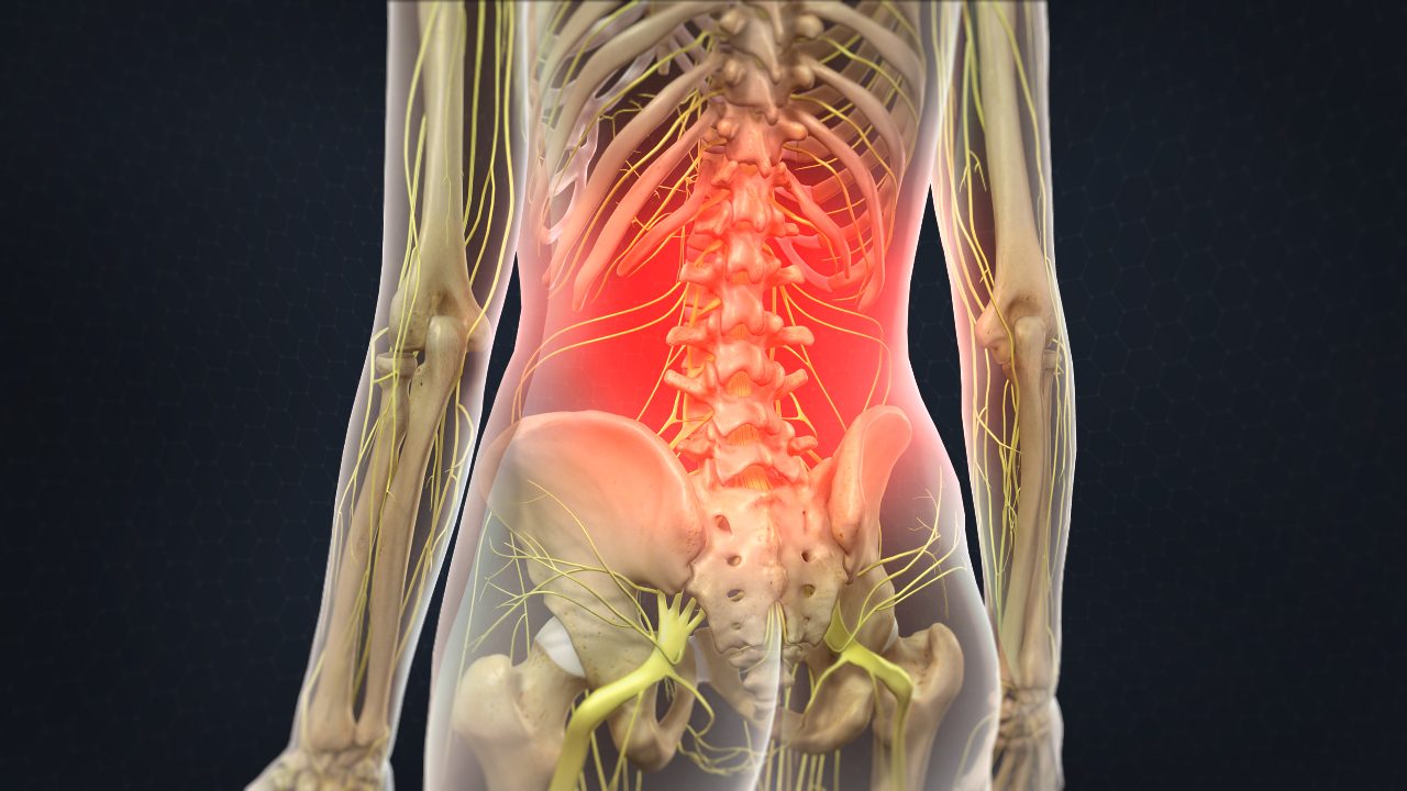 Skeletal Outline of Spine that is Highlighting Pain Area